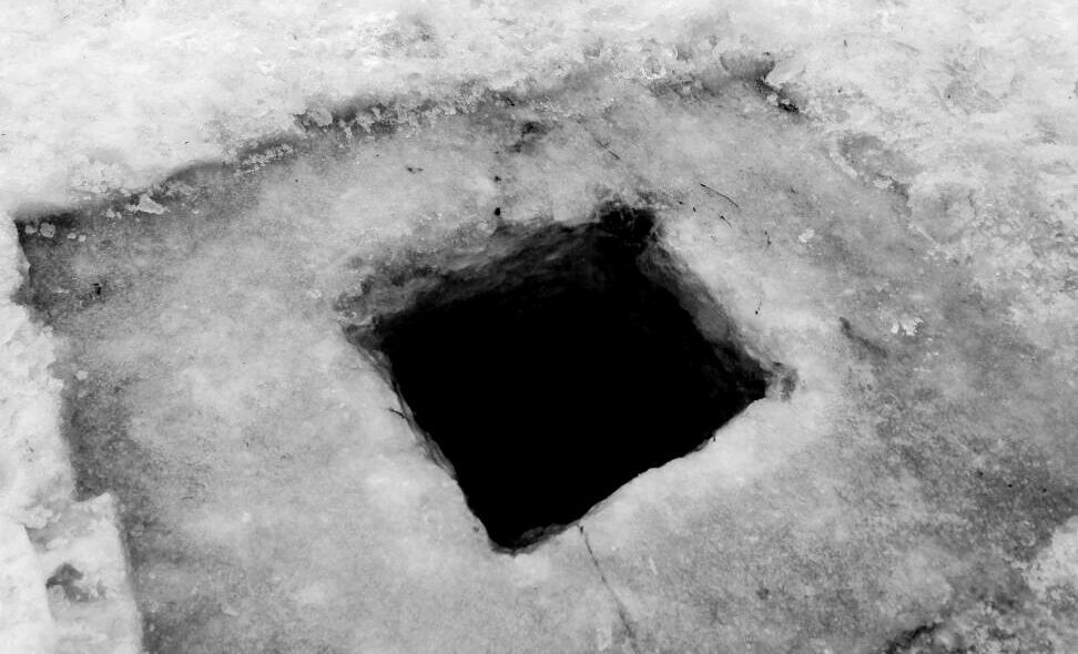 TARYN SIMON <br>A COLD HOLE <br> ASSEMBLED AUDIENCE