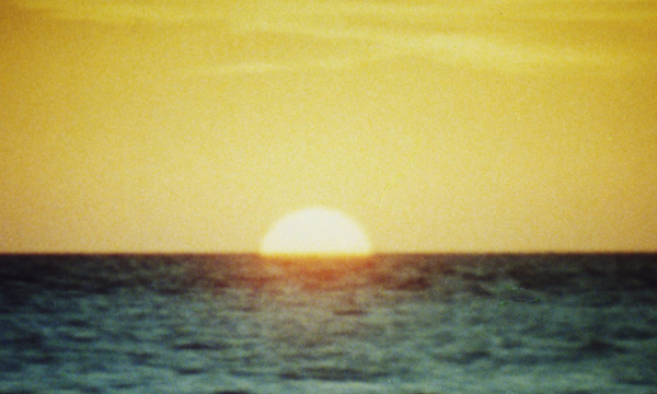 The Dying of the Light <span class="title-light">Film as Medium and Metaphor</span>